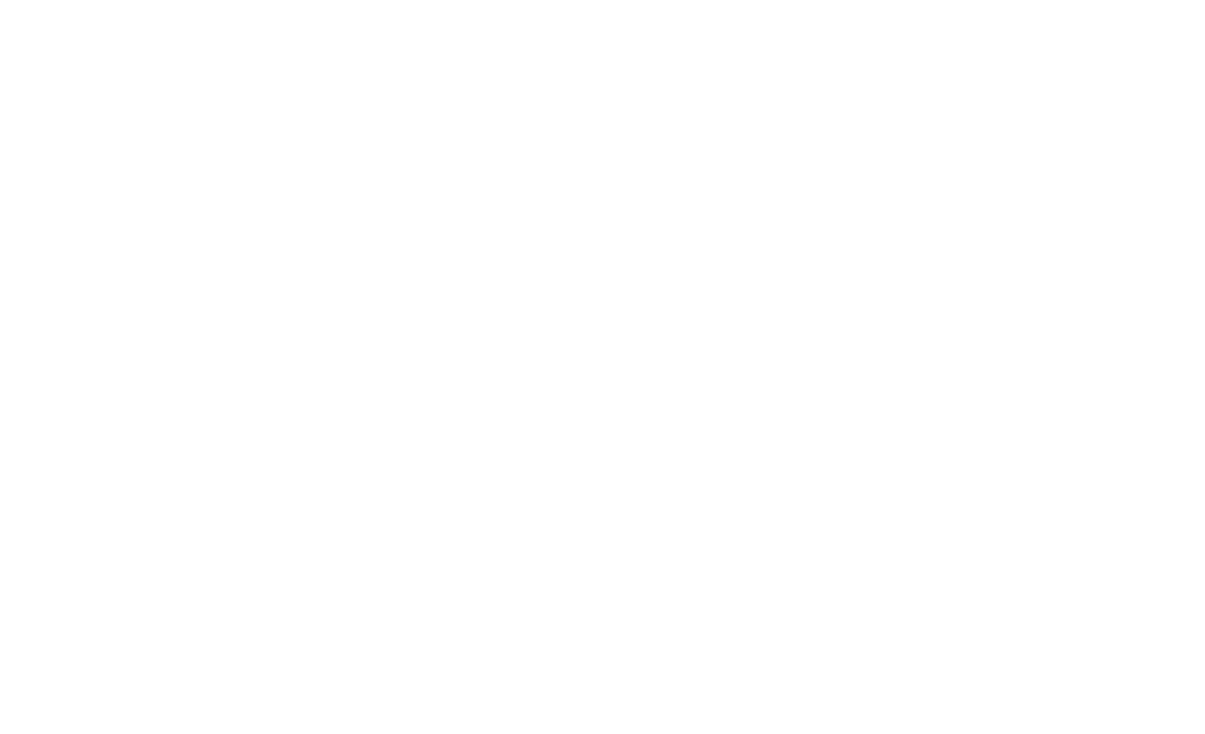 NEESSEN EDV-Dienstleistungen Logo in Weiß
